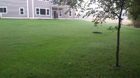 mimyturf|Lawn Fertilization Grand Rapids .